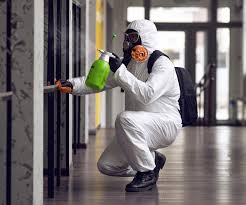 Trusted Savannah, MO Mold Remediation Experts